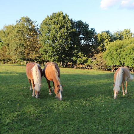 Les Grands Frenes Bed & Breakfast Plaine-de-Walsch Exterior foto